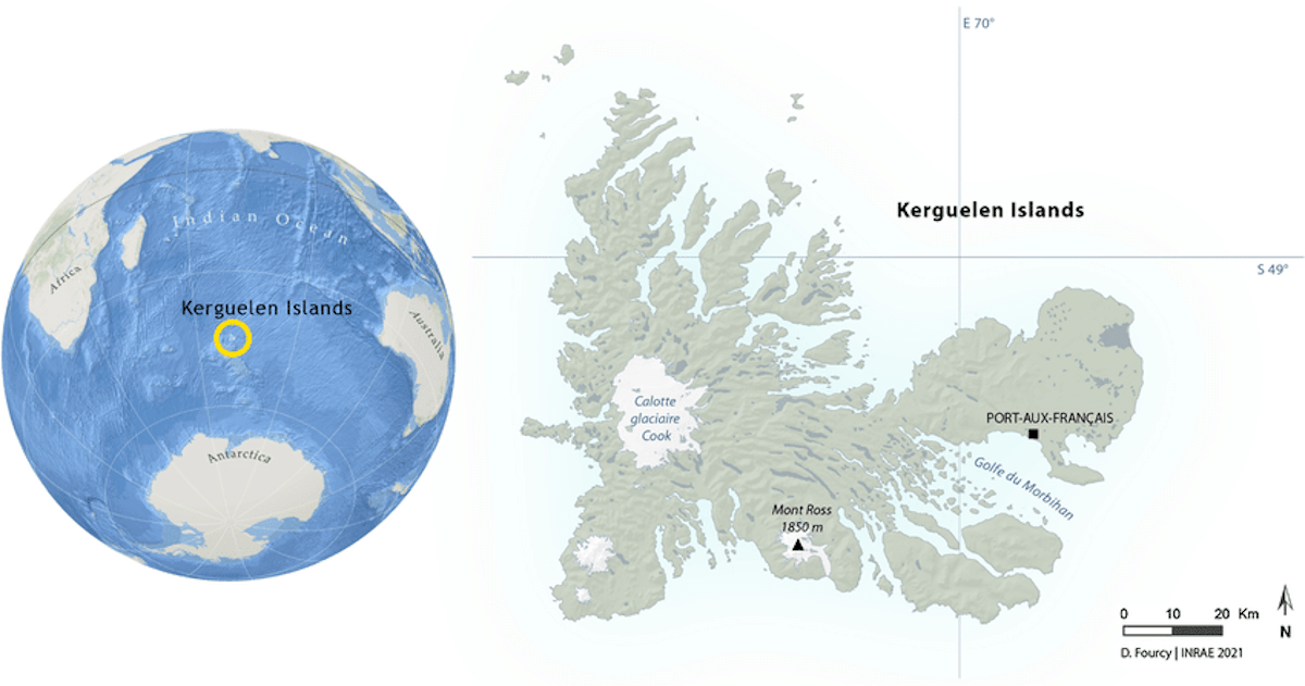 Iles Kerguelen